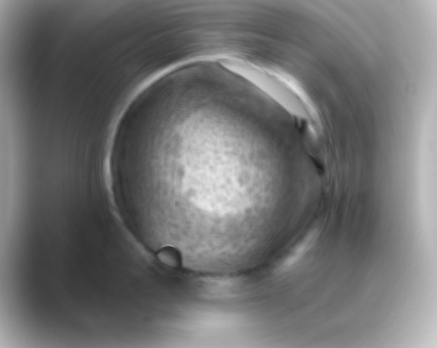 X0000088830959200706211812