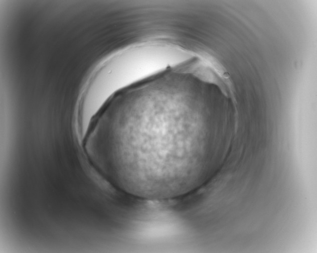 X0000088830960200706211812