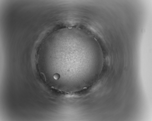 X0000088830961200706211812