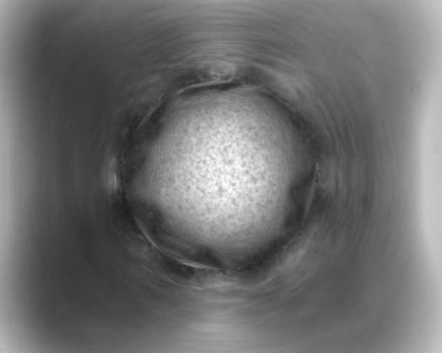 X0000088830962200706211812