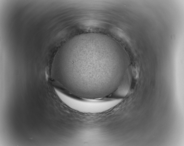 X0000088830965200706211812