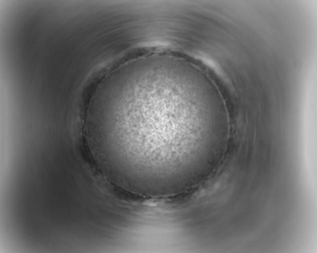 X0000088830967200706211812