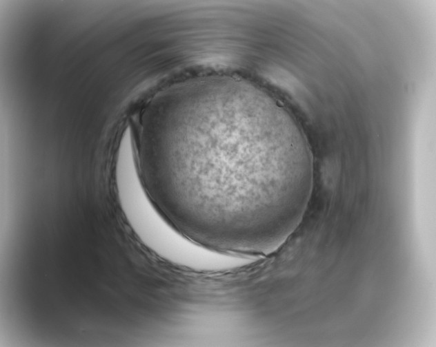 X0000088830968200706211812