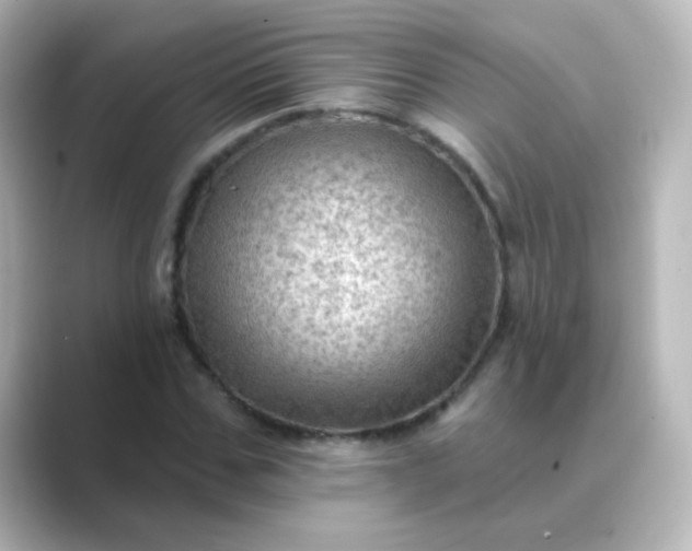 X0000088830971200706211812