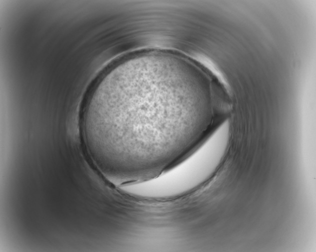 X0000088830972200706211812