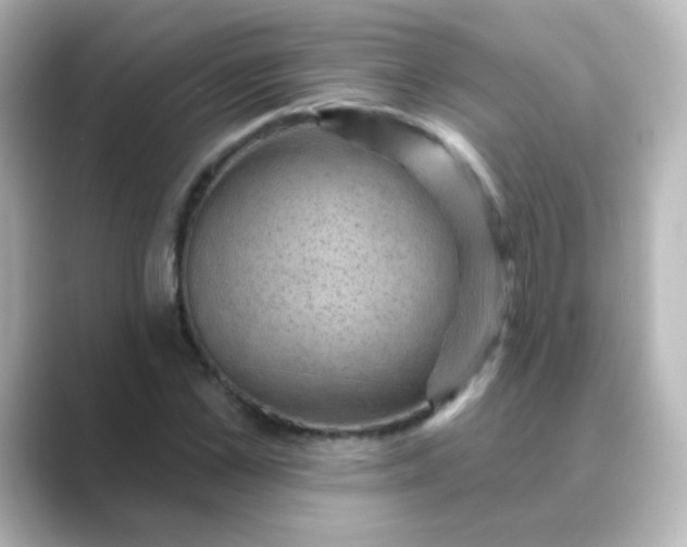 X0000088830973200706211812