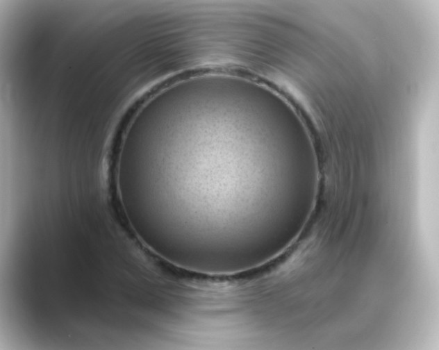 X0000088830975200706211812