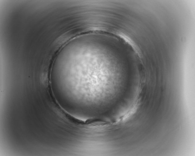 X0000088830977200706211812