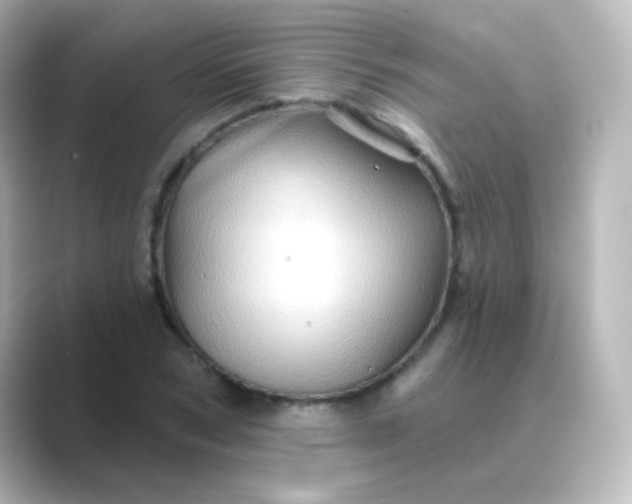 X0000088830978200706211812