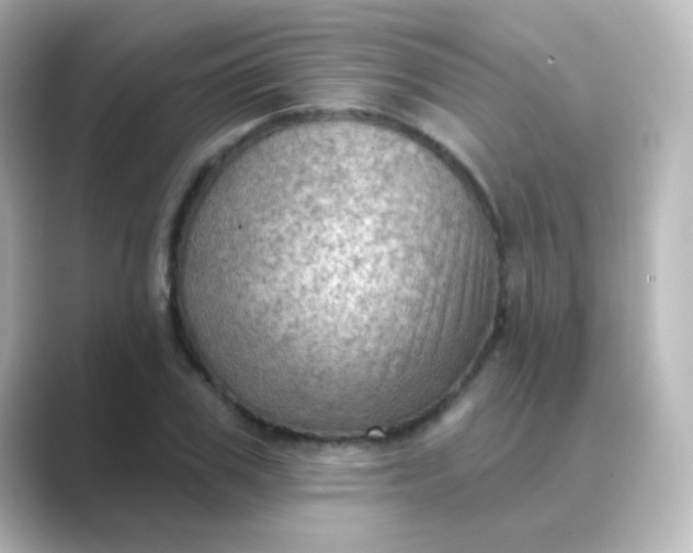 X0000088830979200706211812