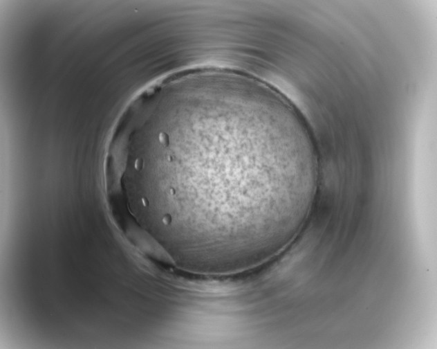 X0000088830980200706211812