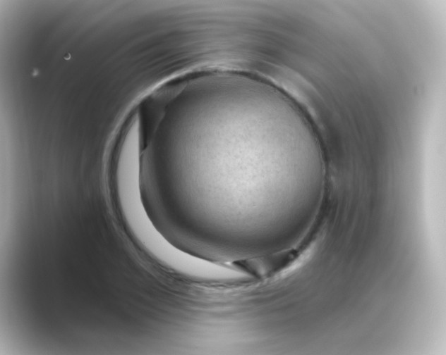 X0000088830981200706211812