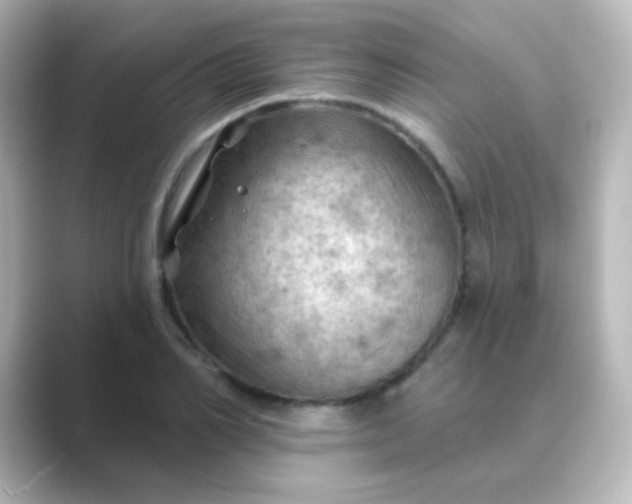 X0000088830982200706211812