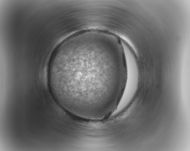 X0000088830983200706211812