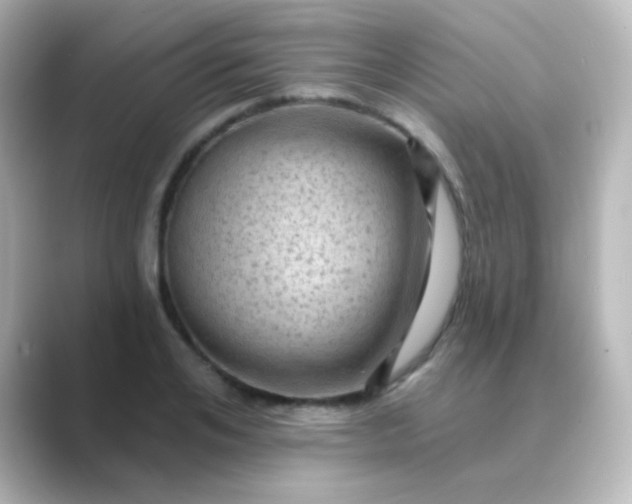 X0000088830984200706211812