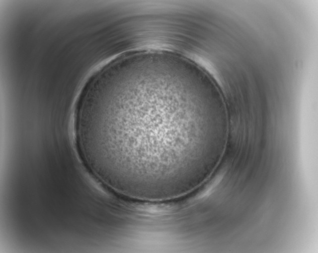 X0000088830987200706211811