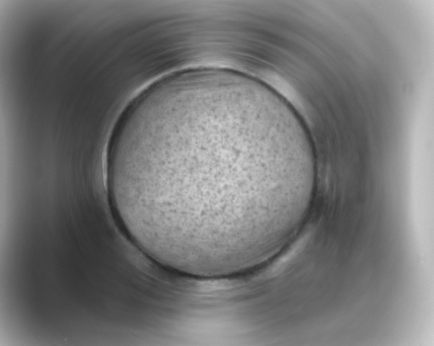 X0000088830988200706211811