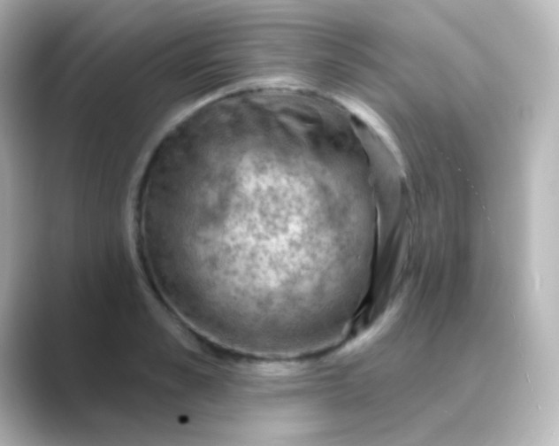 X0000088830989200706211811