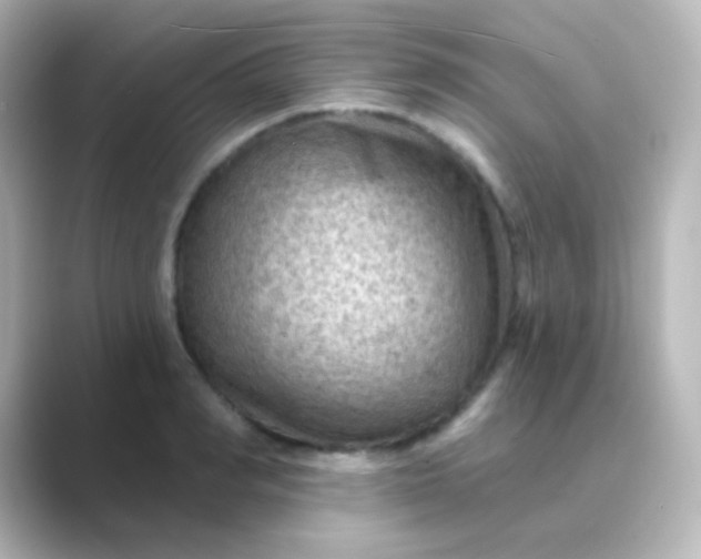 X0000088830990200706211811