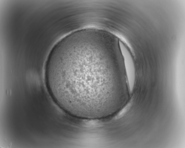 X0000088830991200706211811