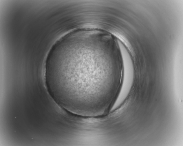 X0000088830992200706211811