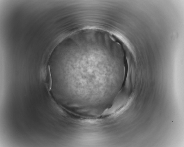 X0000088830993200706211811