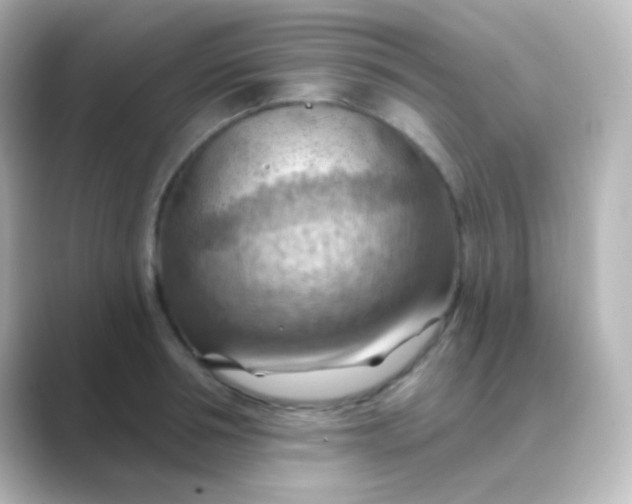 X0000088830994200706211811