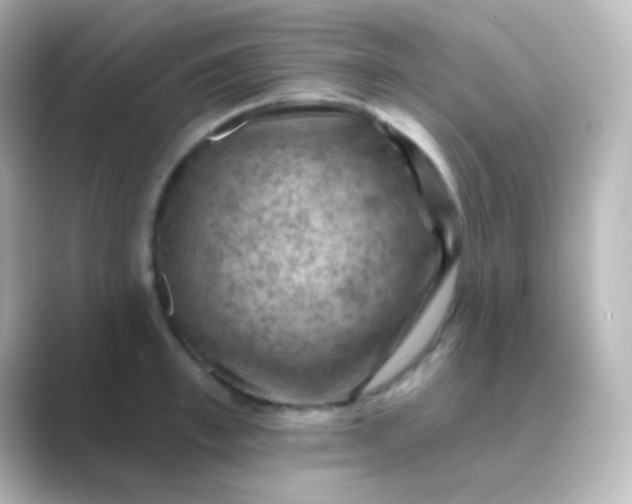 X0000088830997200706211811