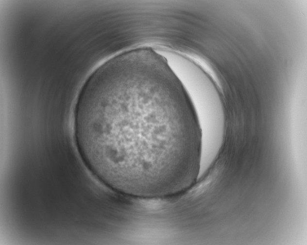 X0000088830999200706211811