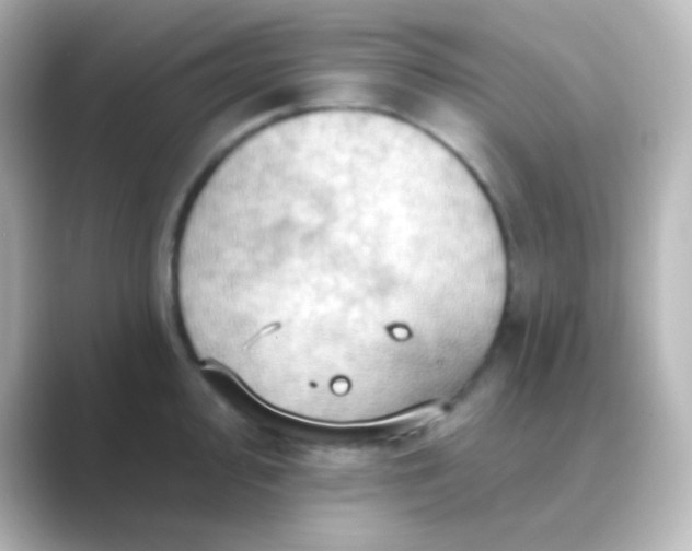 X0000088831000200706211811