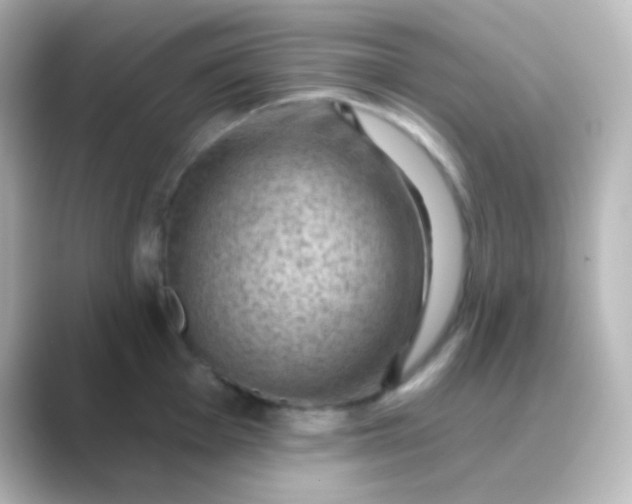 X0000088831001200706211811