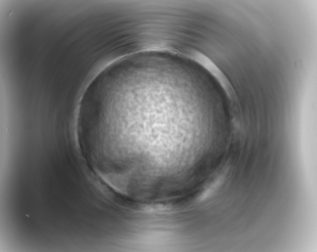 X0000088831002200706211811