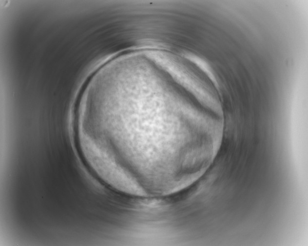 X0000088831003200706211811