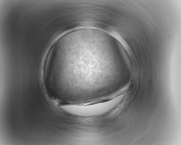 X0000088831004200706211811