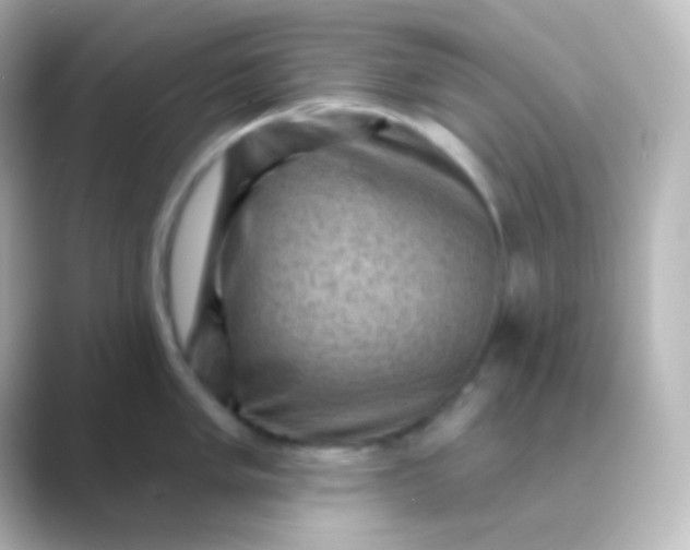 X0000088831005200706211811