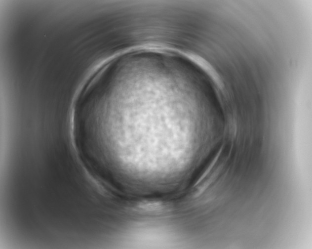 X0000088831006200706211811