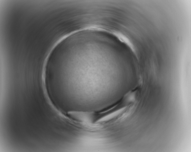 X0000088831007200706211811