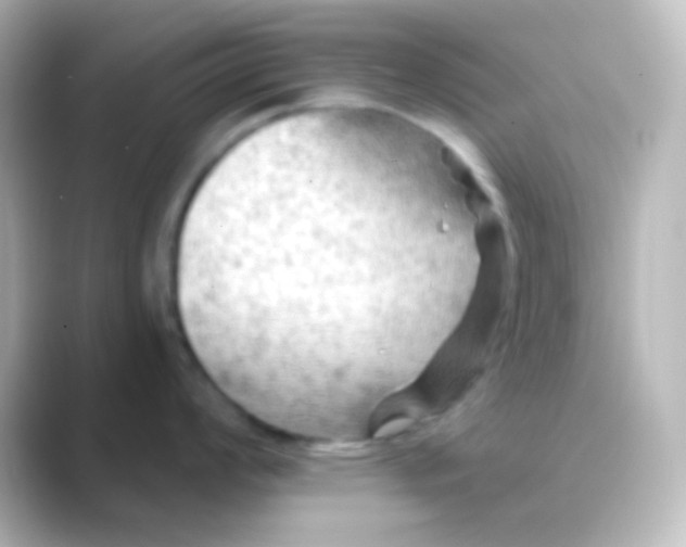 X0000088831008200706211811