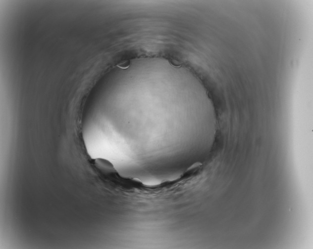 X0000088831009200706211811