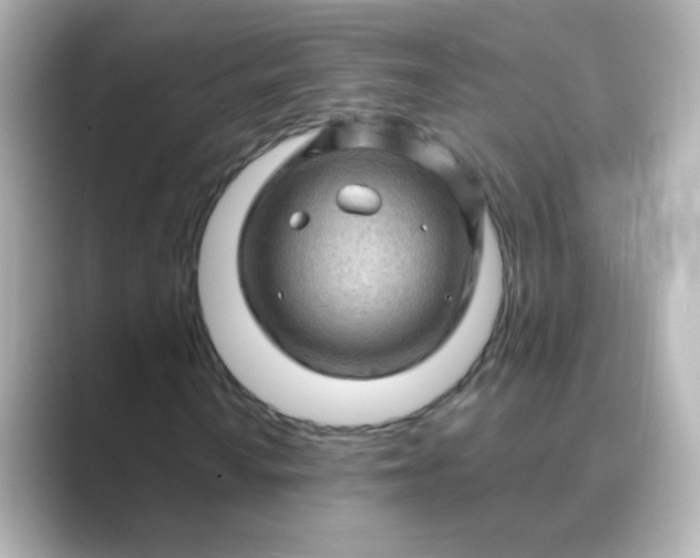 X0000088831010200706211811