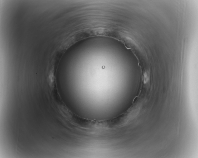 X0000088831011200706211811