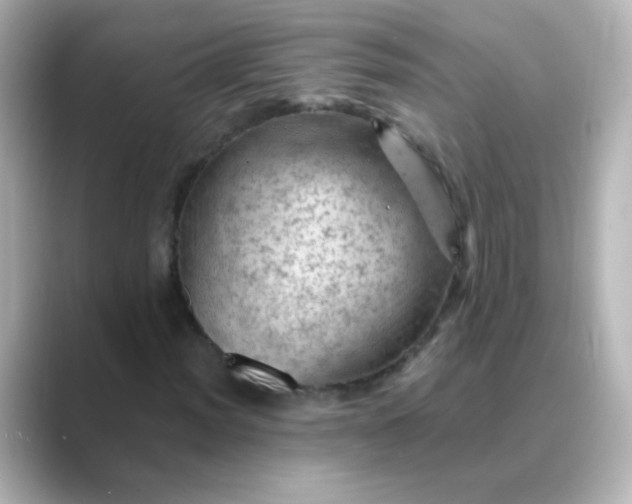 X0000088831012200706211811