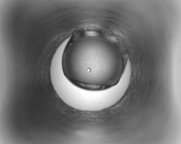 X0000088831014200706211811