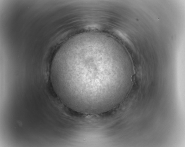 X0000088831015200706211811