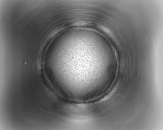 X0000088831017200706211811