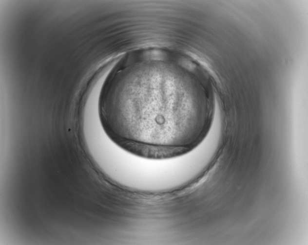 X0000088831018200706211811