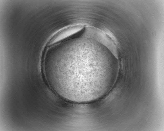 X0000088831020200706211811