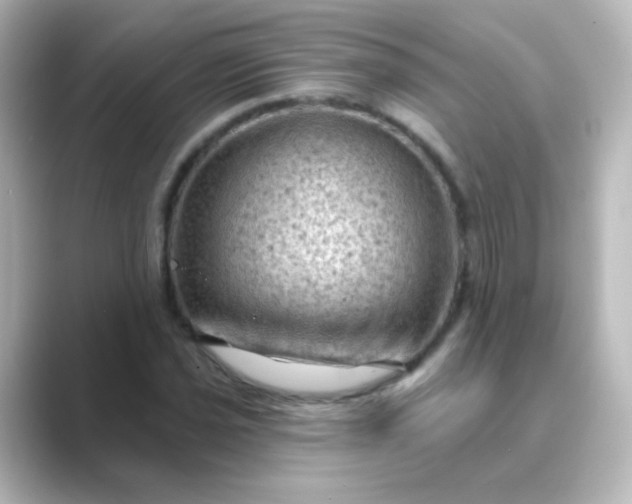 X0000088831021200706211811