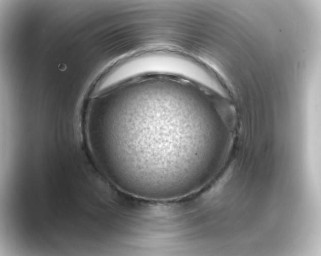 X0000088831022200706211811