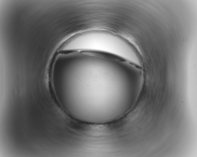 X0000088831024200706211811